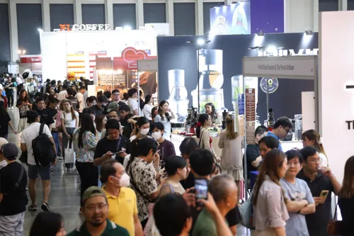 Thai Coffee Varieties Go Global: Foreign Businesses Pay Premium Prices for Thai Beans