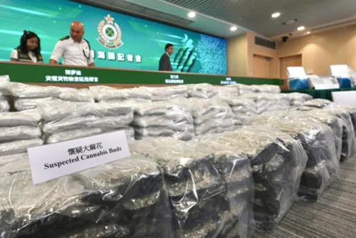 Hong Kong customs seizes record B533m marijuana shipped by sea from Thailand