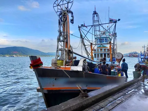 US Section 301 Tariffs Squeeze Thai Fishing: Shrimp at Risk of Price Disadvantage; Tuna Remains Strong
