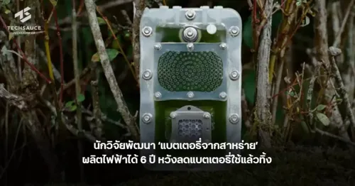 Researchers Develop 'Algae Battery' That Generates Power for 6 Years, Aiming to Reduce Disposable Battery Waste