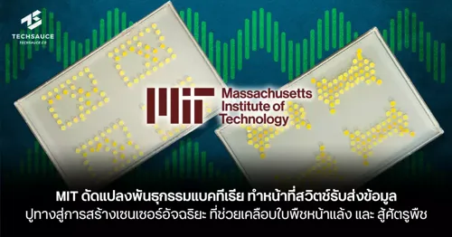 MIT Modifies Bacterial Genetics to Function as Data-Switching Circuits, Paving the Way for Smart Sensors on Crop Leaves