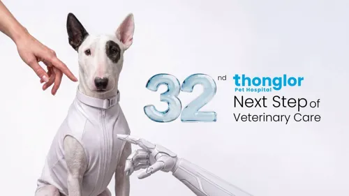 32 Years of Thonglor Animal Hospital: Moving Towards Healthcare Partner Model
