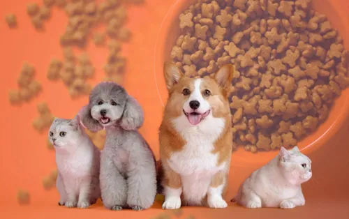 Global Pet Market Opens Doors to Thailand; Taiwan Leads Imports, US Market Reaches $158 Billion