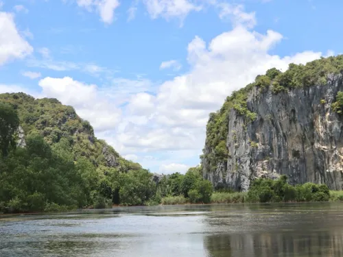 Phatthalung Bird's Nest Concession: 500 Million Baht Auction Fails to Attract Private Bidders; Industry Urges Customs to Unlock Laws and Boost Chinese Exports