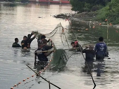 Thailand's Fisheries Department Unlocks Three-Tier Framework for Black-Chin Tilapia Removal Tools