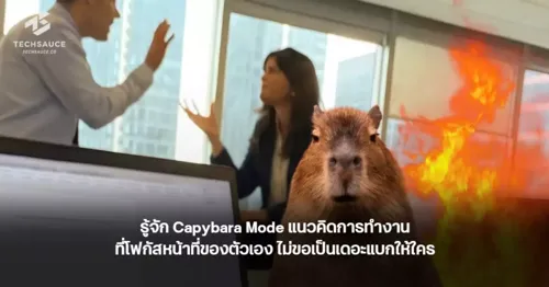 Capybara Mode: A Work Philosophy Focused on Your Own Tasks Without Being Everyone's Support