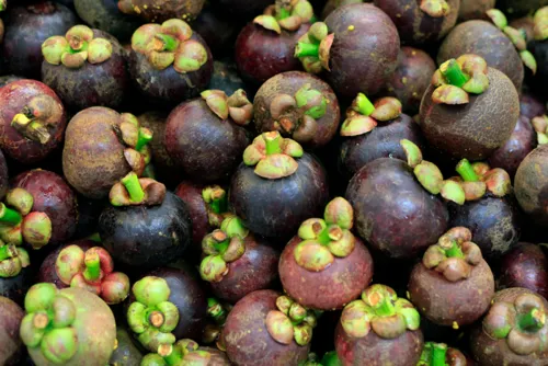 Air travellers offered free 10kg fruit check-in for a year