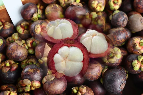 Nakhon Si Thammarat: "Southern Mangosteen Capital" Distributes Quality Produce to Consumers