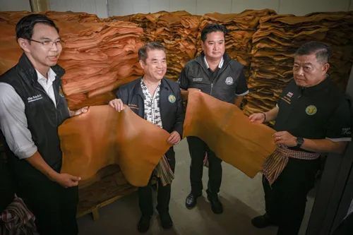 Rubber Board Expedites 1.4 Million Farmer Database to Meet EUDR Standards and Maintain EU Market Access