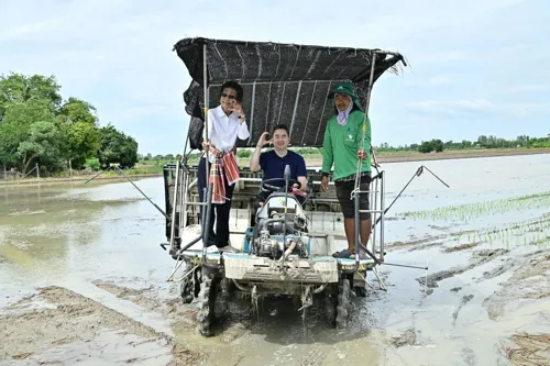 Department of Rice Targets 1 Million Rai of Low-Carbon Rice with Suphan Buri Pilot on 2,000 Rai and Private Sector Offtake