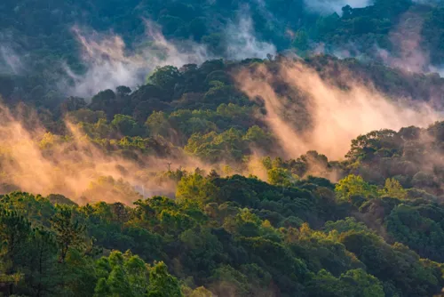Thailand's Forest Coverage Shrinks by 112,777 Rai; Northern Region Faces Severe Crisis as Population Declines but Land Encroachment Rises
