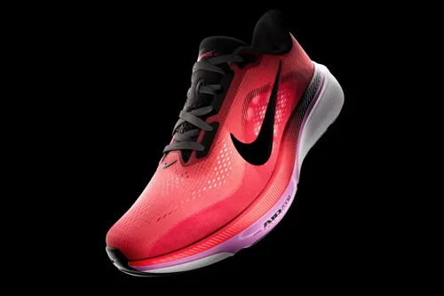 Nike: From Trunk Sales to Global Sports Brand, Then Dropped from S&P100