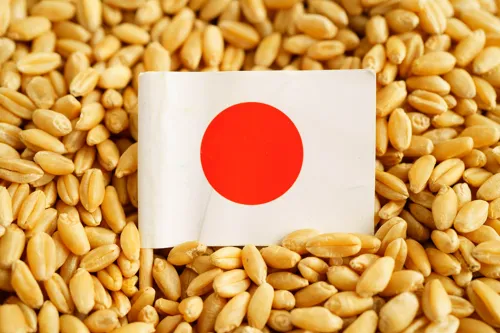 Japan Invests ¥1 Trillion to Drive "New Foods" Market to ¥3 Trillion; Golden Opportunity for Thai SMEs