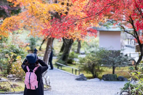 Global warming reshapes Japan travel trends: autumn-winter becomes peak season