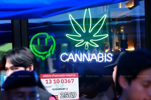 Health Ministry Steps Up Cannabis Enforcement and Rule Clarity