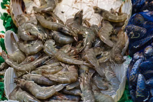 Shrimp Farmers Oppose Relaxed Import Inspections, Fearing Disease and Price Pressure