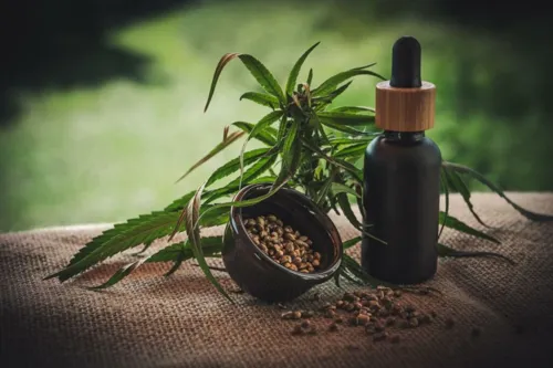 Cabinet Approves Cannabis Control Bill, Reaffirms Medical-Only Use and Increases Penalties