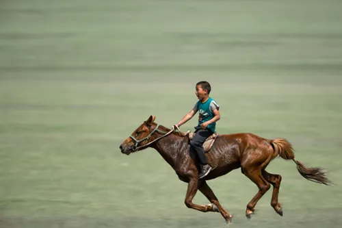New Law on "Mule Account" Seizure Enacted to Combat Scammers and Expedite Victim Refunds