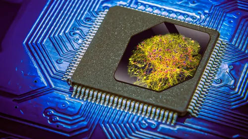 Shrinking AI Chips for Power-Hungry Wearables