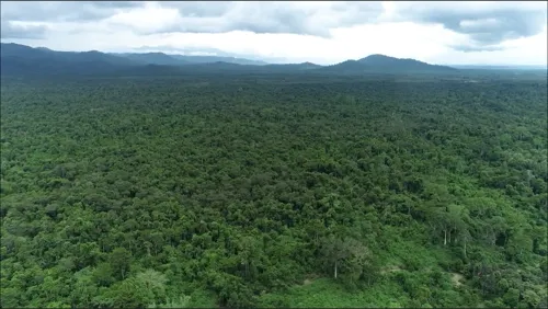 Foundation Questions Cabinet Approval of Khlong Wang Ton Dam Project (7.2 Billion Baht) But Omits Impact on Khao Sip Ha Chan National Park Wildlife