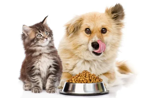 BOI Green-lights Nestlé's 6.4 Billion Baht Pet Food Manufacturing Expansion in Thailand