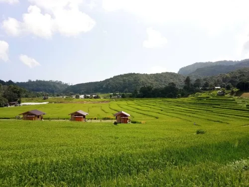 Thailand Tourism Authority Promotes Chiang Mai Prototype Model to Combat PM2.5 Pollution, Drive Northern Green Destination Initiative
