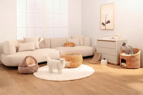 ILM Expands Furniture Portfolio to Capitalize on Pet Humanization Trend