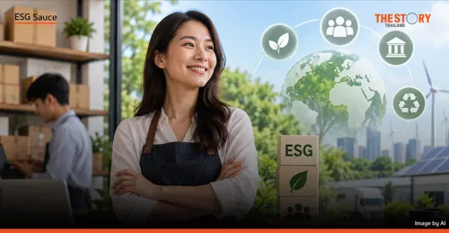 A Key Step Towards SME Sustainability Reporting: An Introduction to VSME Standards