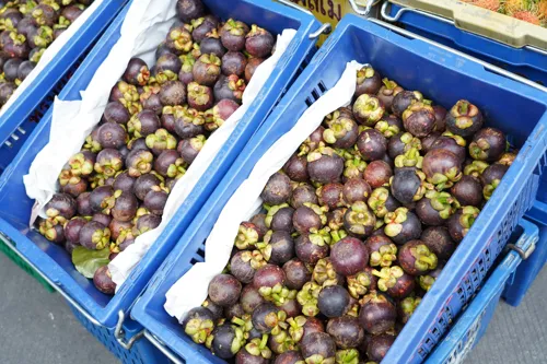 Commerce Ministry Accelerates Southern Fruit Exports: Mangosteen Production Surges 75%, Opens 3 Auction Sites and Engages Modern Trade Chains