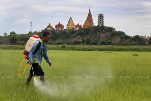 Court upholds Thailand's ban on toxic farm chemicals