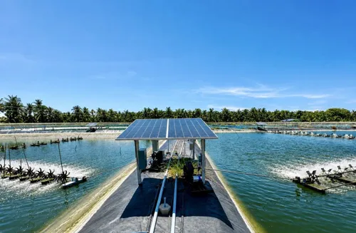Department of Fisheries Subsidizes 50% of Solar Cell Shrimp Farm Installation, Capped at 50,000 Baht; Targets 1,000 Farmers